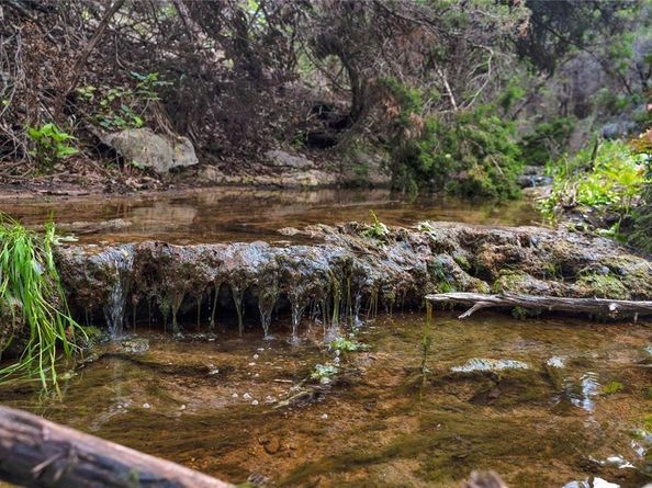 502 Grace LN, Austin TX 78746