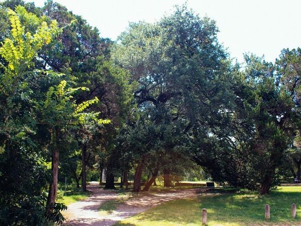 1500 East Side DR 219 A, Austin TX 78704