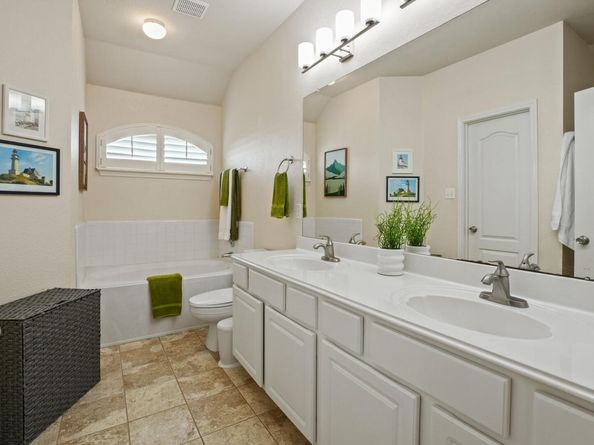 3725 Birdhouse DR, Round Rock TX 78665