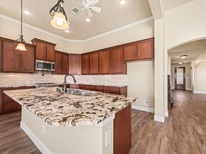 10203 Texas Sage Way Way, Cypress TX 77433