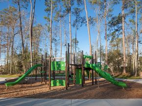 31985 Retama Ranch Lane, Spring TX 77386