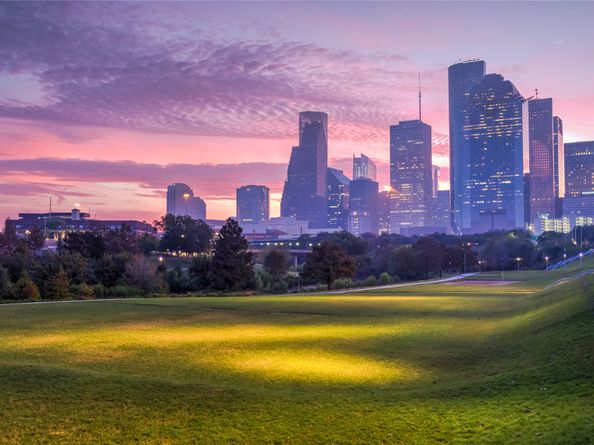 1011 Tuskegee Heights Lane, Houston TX 77091