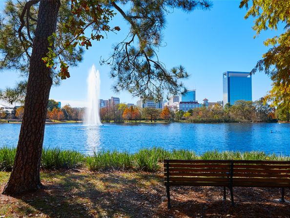 1011 Tuskegee Heights Lane, Houston TX 77091