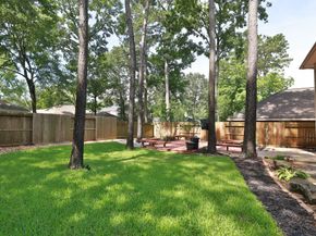 19 Almond Branch Place, The Woodlands TX 77382