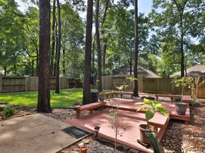 19 Almond Branch Place, The Woodlands TX 77382