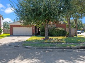 10215 Rockdale Bridge Court, Sugar Land TX 77498