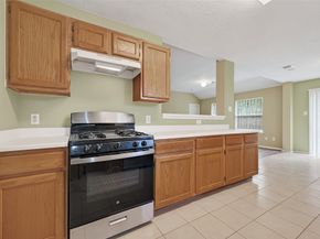 13715 Naomi Hollow Lane, Houston TX 77082