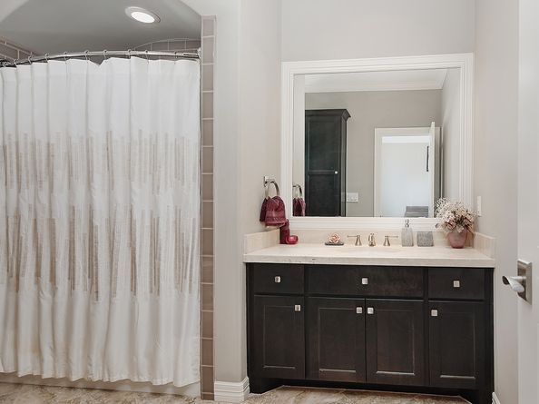 46 Pine Brook Court, Shenandoah TX 77381