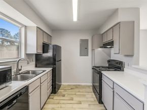 10007 Emerald Creek Drive AD, Houston TX 77070