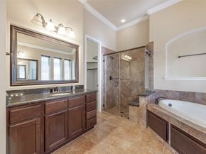 15806 Elkins Creek Court, Houston TX 77044