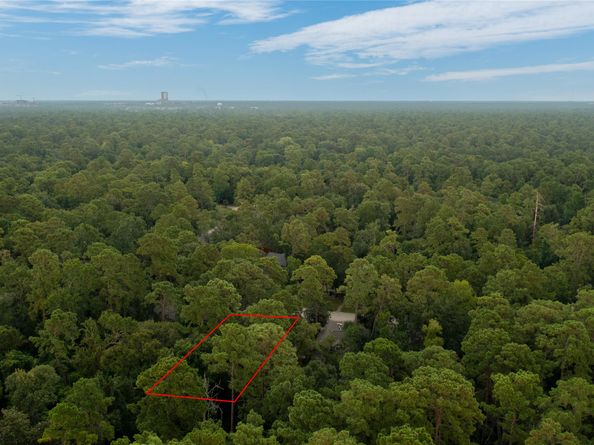 34 W Trace Creek Drive, The Woodlands TX 77381