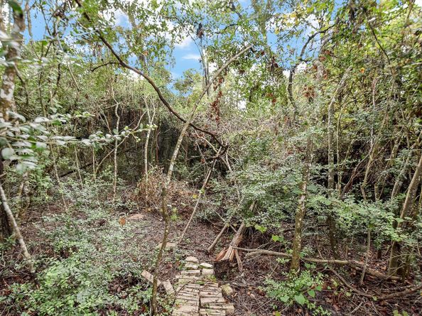 162 W Heritage Mill Circle, Tomball TX 77375