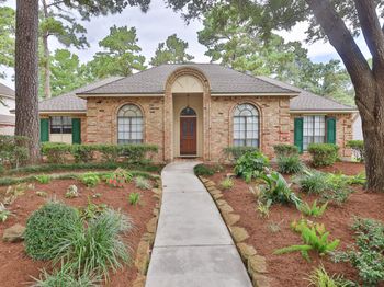 4303 Hill Forest Drive