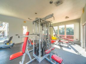 7107 Harmony Cove, Houston TX 77036