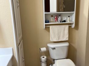 10252 Longmont Drive 45/4, Houston TX 77042