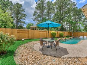 11 N French Oaks Circle, The Woodlands TX 77382