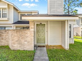 6239 Ludington Drive 22928, Houston TX 77035