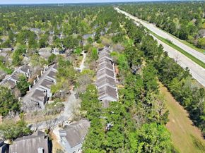 151 Anise Tree Place, The Woodlands TX 77382