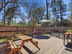 151 Anise Tree Place, The Woodlands TX 77382