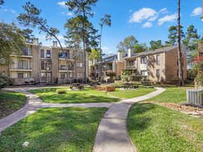 3500 Tangle Brush Drive 150, The Woodlands TX 77381