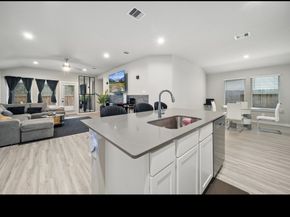 12817 Tokenhouse Lane, Houston TX 77047