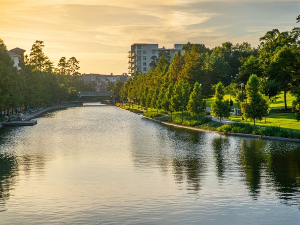 3 Meadow Beauty, The Woodlands TX 77381