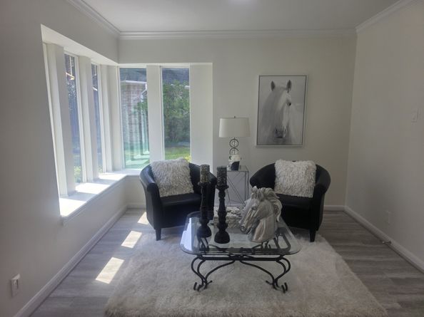 1507 Village Green Court, Houston TX 77077