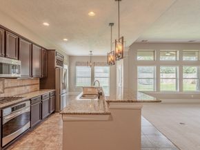 3611 Cape Vista Court, Spring TX 77386