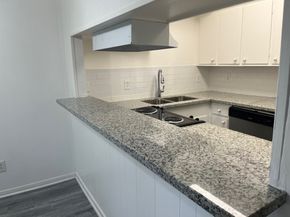 3938 W Alabama Street 10, Houston TX 77027