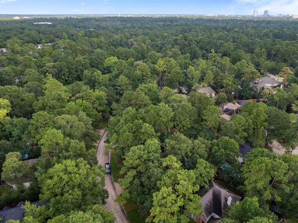 55 Terraglen Dr, Spring TX 77382