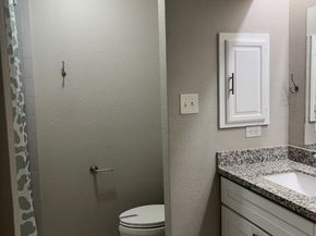 15815 Whipple Tree Drive, Houston TX 77070