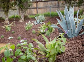 1505 Highgrove Drive, Escondido CA 92027