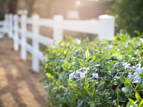 1505 Highgrove Drive, Escondido CA 92027