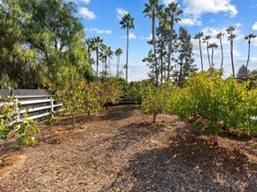 612 Lucylle Lane, Encinitas CA 92024