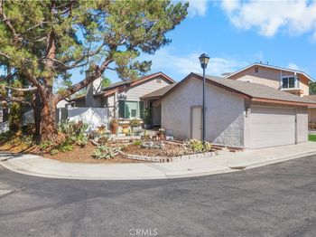 507 Juniper Street