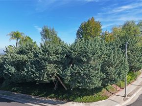 23421 AETNA Street, Woodland Hills CA 91367