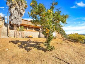 2862 Callejon, San Diego CA 92139