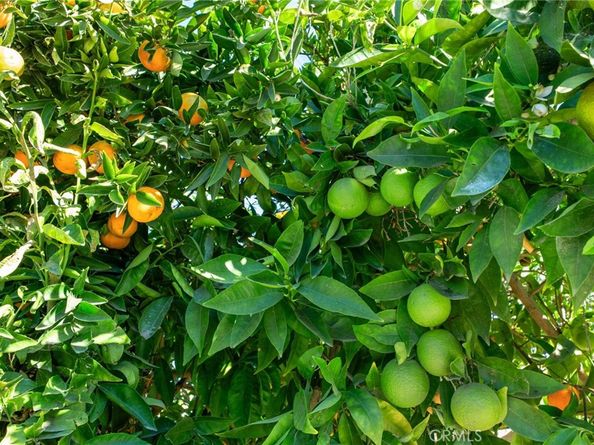 509 S Glenarbor, Santa Ana CA 92704