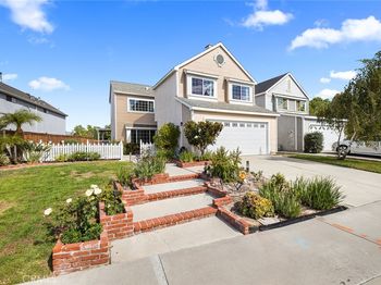 27651 White Fir