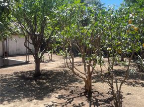333 West Grand Avenue, Pomona CA 91766