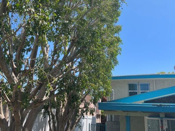 5429 Chesley Avenue, Los Angeles CA 90043