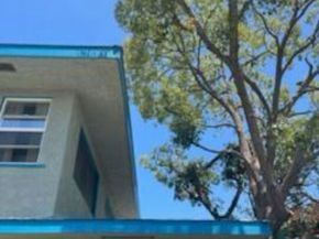 5429 Chesley Avenue, Los Angeles CA 90043