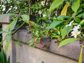 10447 Whitcomb Way 161, San Diego CA 92127