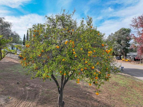 1037 Bushard Drive, Escondido CA 92029