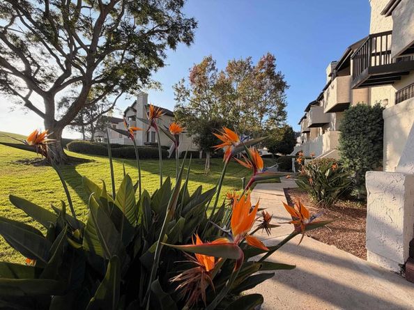 6635 Canyon Rim Row 182, San Diego CA 92111