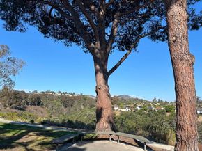 10975 Clairemont Mesa Blvd., San Diego CA 92124