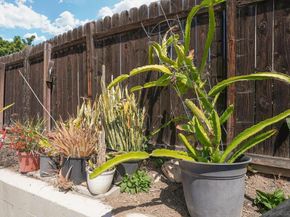 1138 Purdy Street, Spring Valley CA 91977