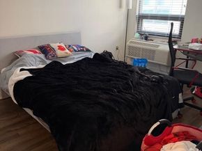 815 Arch Street 209, Philadelphia PA 19107