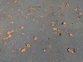 4432 Chase Park Court, Annandale VA 22003