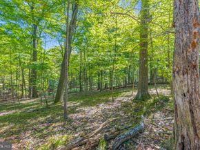 21 Goldney Dr, Newtown PA 18940